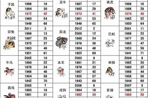 1992 年 生肖|1992 年出生属什么生肖